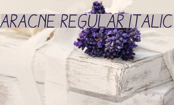 Aracne Regular Italic Font examples