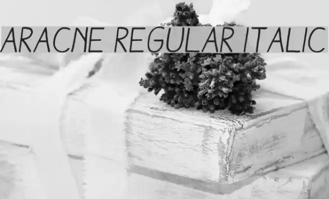Aracne Regular Italic Schriftart examples