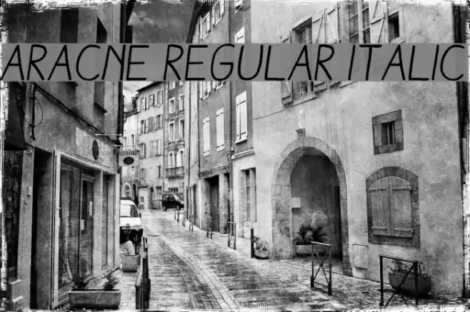 Aracne Regular Italic Schriftart examples