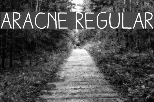 Aracne Regular Font examples