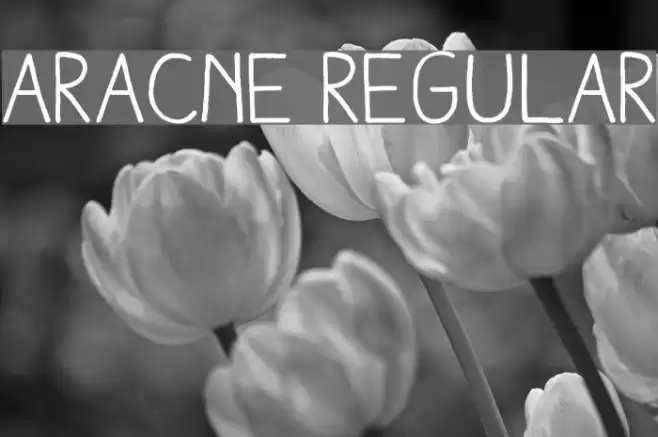 Aracne Regular Font examples