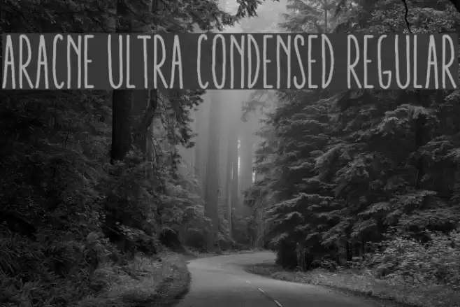 Aracne Ultra Condensed Regular Font examples