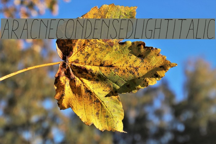 AracneCondensedLightItalic Example 2