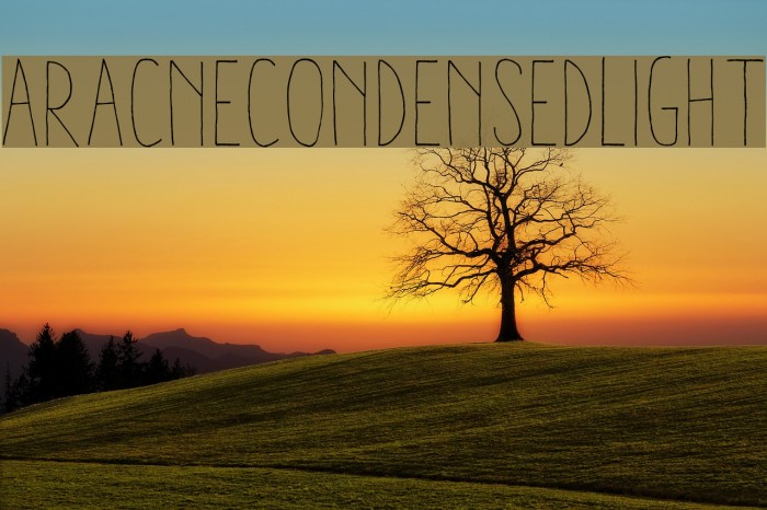 AracneCondensedLight Font examples