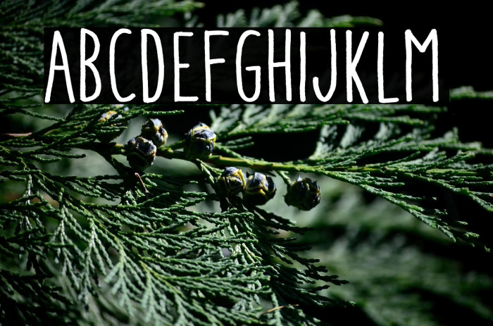 AracneCondensedRegular Example 1