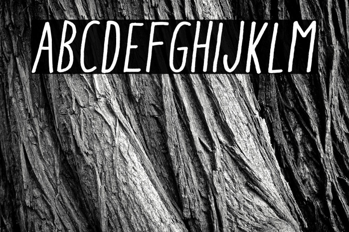 AracneCondensedRegularItalic Example 3