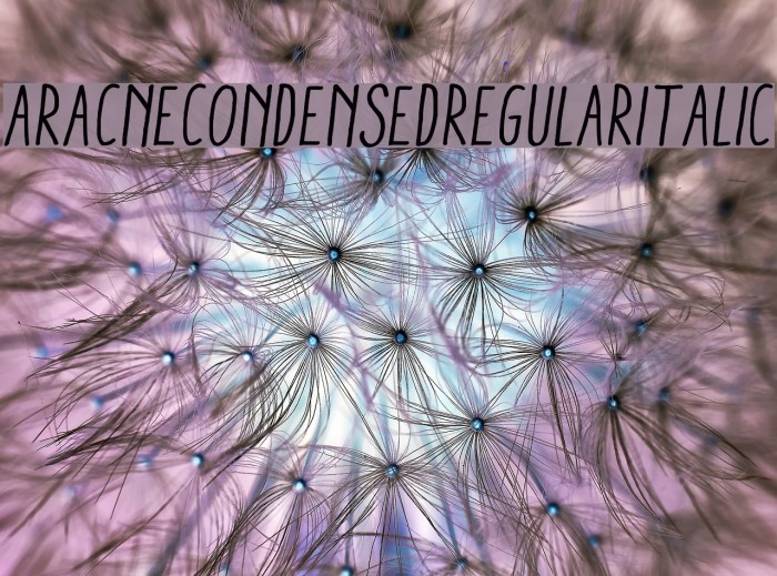 AracneCondensedRegularItalic Font examples