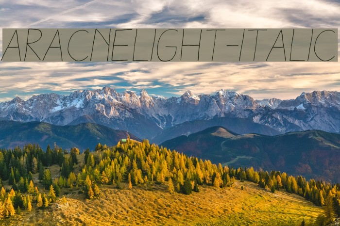 AracneLight-Italic Font examples
