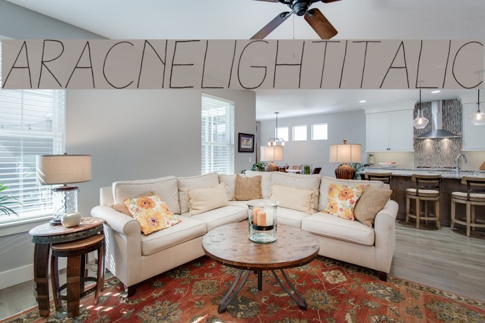 AracneLightItalic Example 1