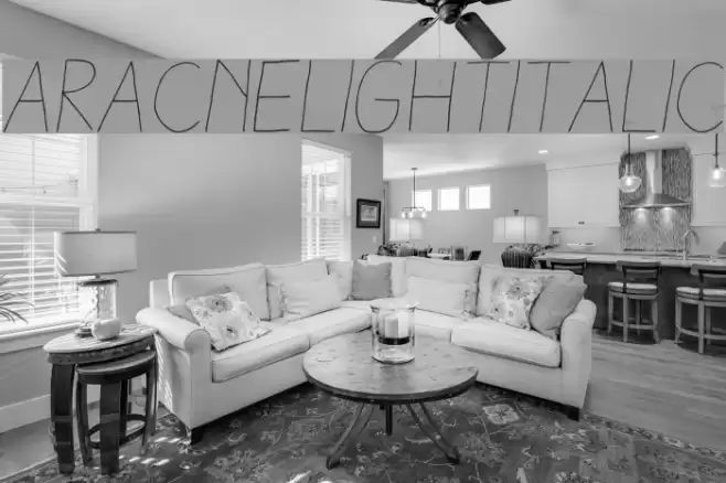 AracneLightItalic Font examples