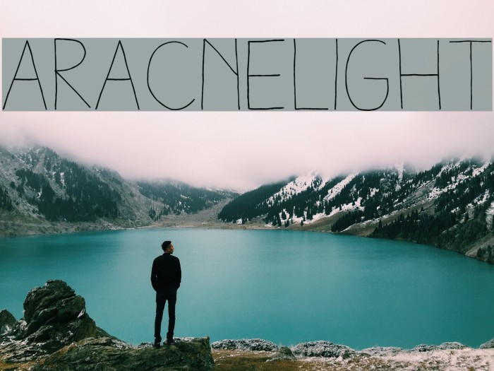 AracneLight Example 1