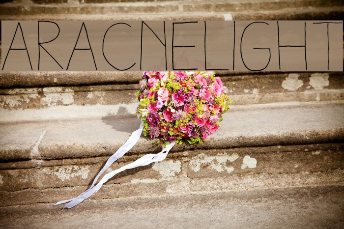 AracneLight Example 3