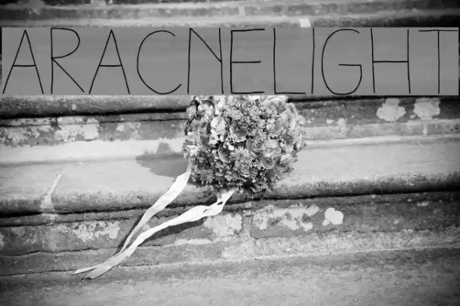 AracneLight Font examples