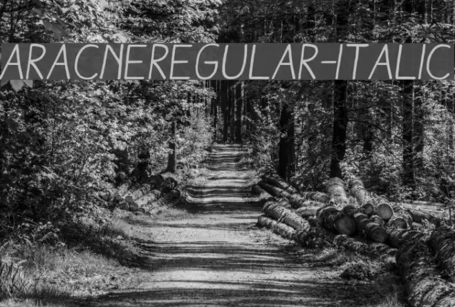 AracneRegular-Italic Font examples
