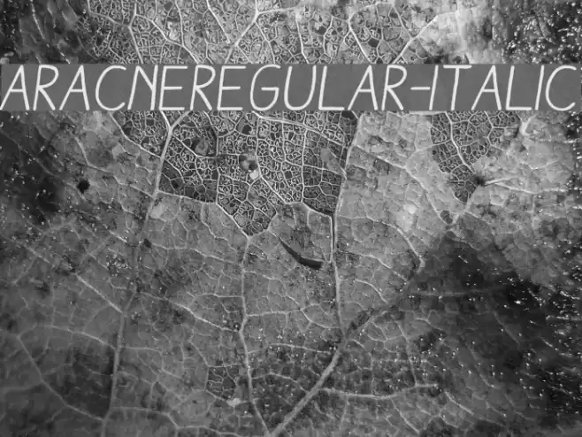 AracneRegular-Italic Font examples