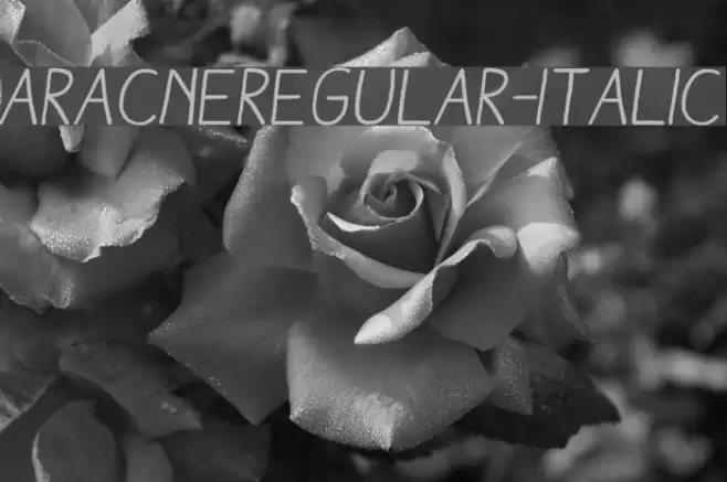AracneRegular-Italic Font examples