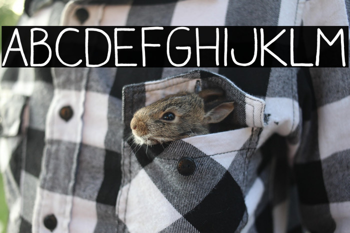 AracneRegular Example 1