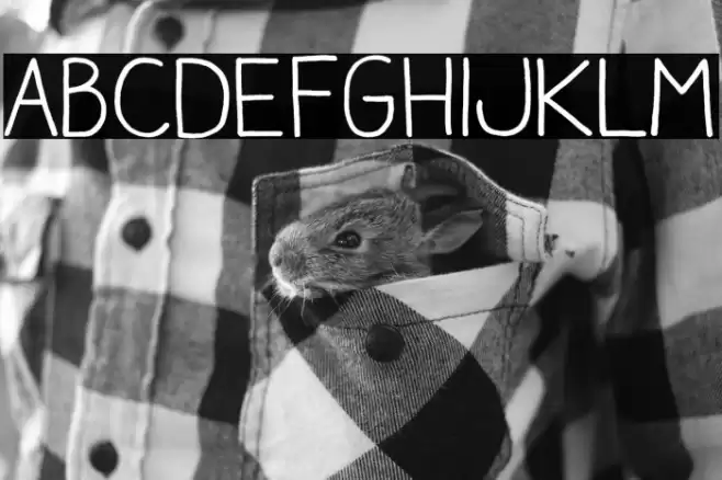 AracneRegular Font examples