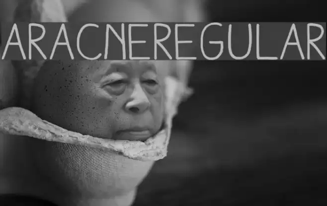 AracneRegular Font examples