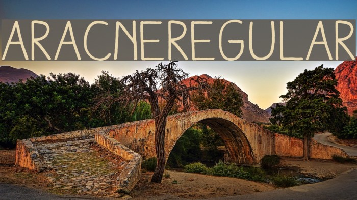 AracneRegular Font examples