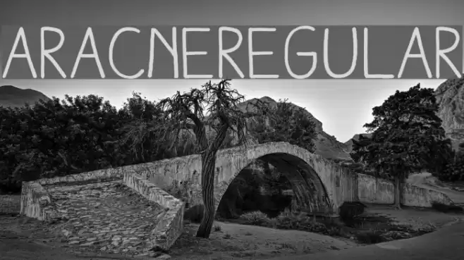 AracneRegular Font examples