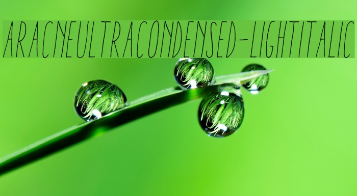 AracneUltraCondensed-LightItalic Font examples