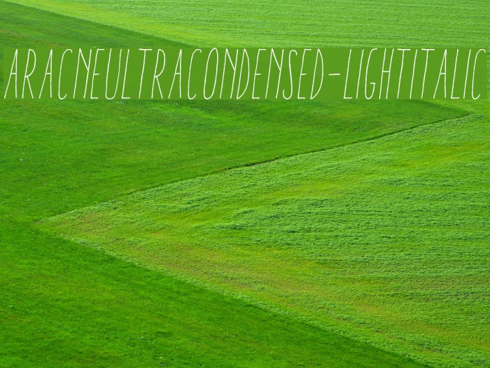 AracneUltraCondensed-LightItalic Font examples