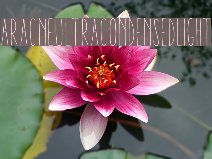 AracneUltraCondensedLight Font examples
