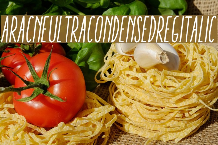 AracneUltraCondensedRegItalic Font examples