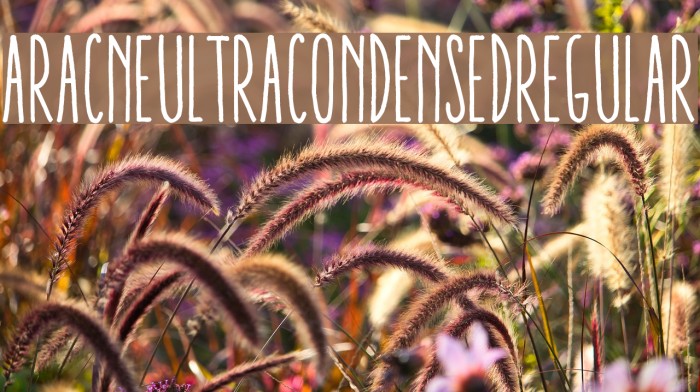 AracneUltraCondensedRegular Example 1