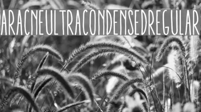AracneUltraCondensedRegular Font examples