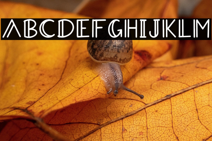 AradevaDemoRegular Example 1