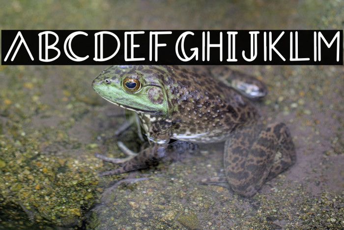 AradevaDemoRegular Example 3