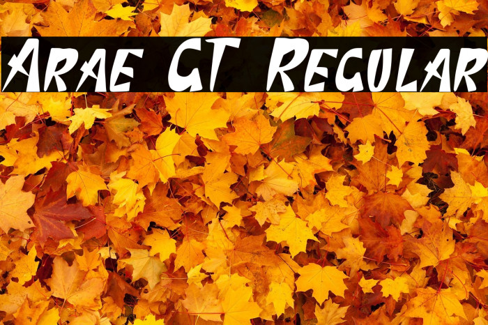 Arae GT Regular Example 1