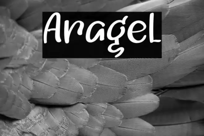 Aragel Example 2