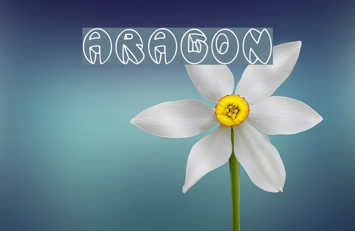 Aragon Font examples