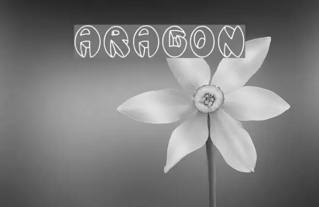 Aragon Example 2
