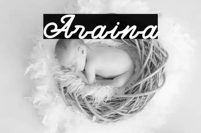 Araina Example 1