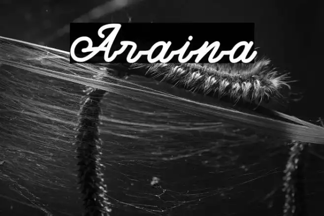 Araina Example 2