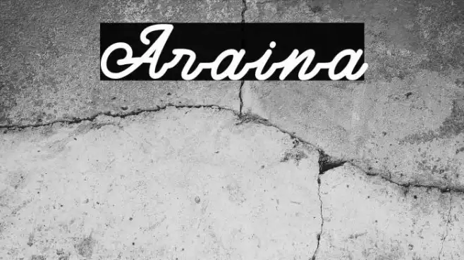 Araina Example 3