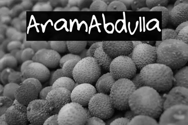 AramAbdulla Шрифта examples