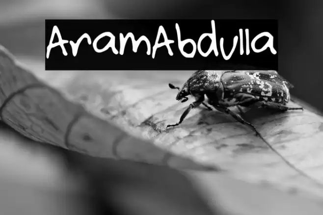 AramAbdulla Шрифта examples