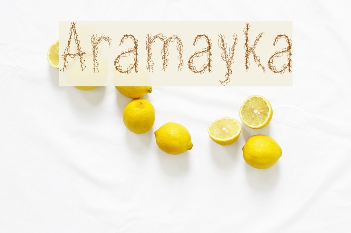 Aramayka Font examples