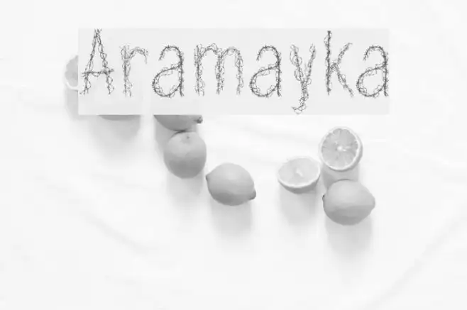 Aramayka Example 1