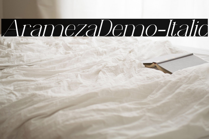 AramezaDemo-Italic Example 3