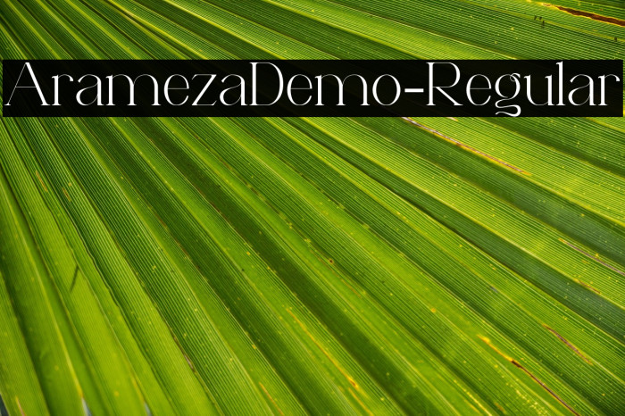 AramezaDemo-Regular Example 2