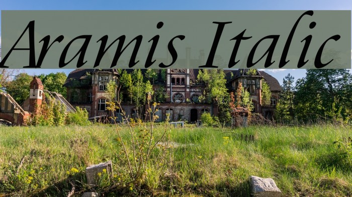 Aramis Italic Font examples