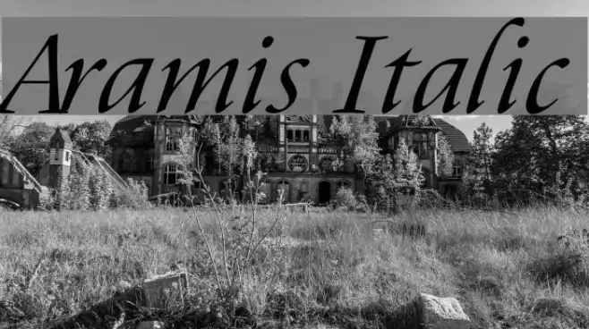 Aramis Italic Example 1