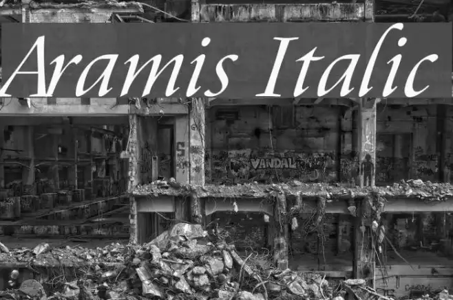 Aramis Italic Example 2