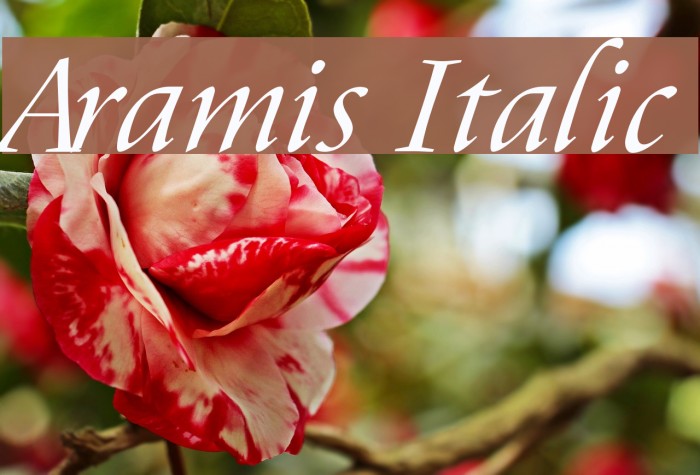 Aramis Italic Font examples